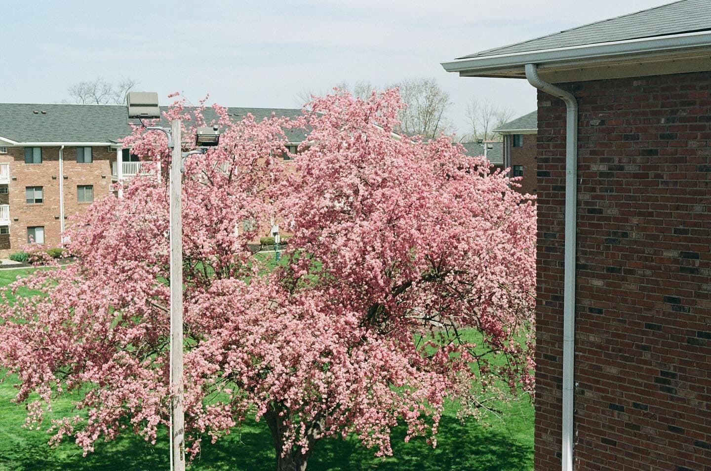 1F121DB9 9F48 4AB3 B49E A76DE8936ACE